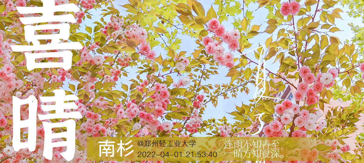 连雨不知春至，一晴方知夏深@郑州轻工业大学